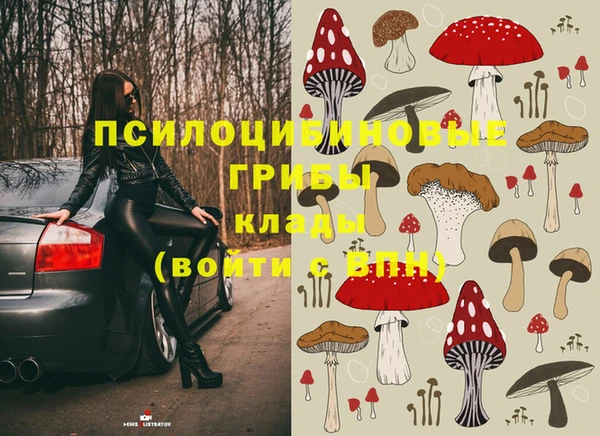 молекула духа Краснотурьинск