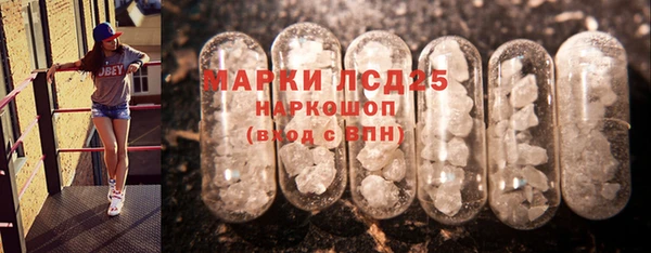mdpv Краснослободск