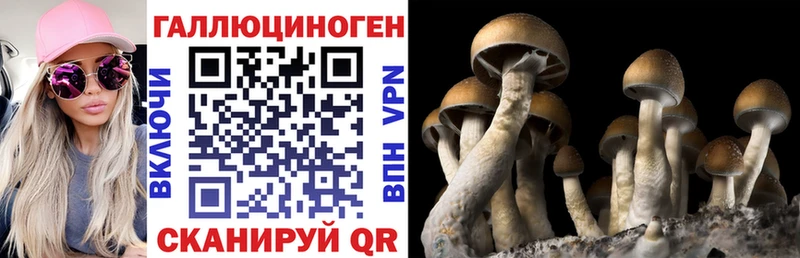 Купить закладки  Амурск  Галлюциногенные грибы Psilocybine cubensis 